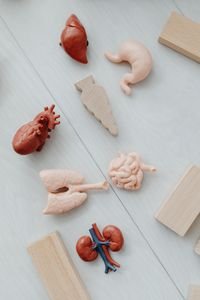 Hepatology